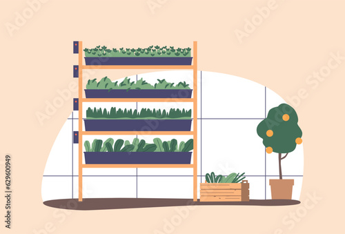 Greenhouse Place for Cultivating Green Plants In A Controlled Environment, Ensuring Optimal Growth Conditions