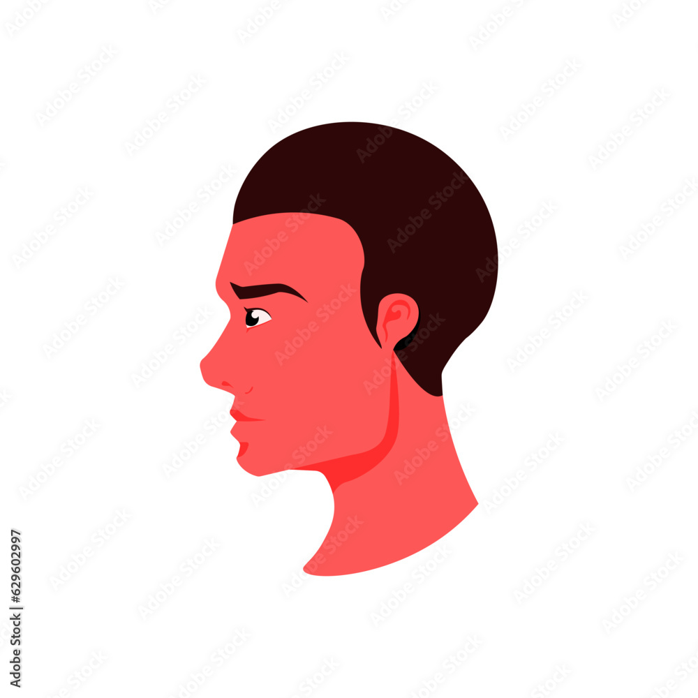 Man side face on isolated background, Vector illustration. Man side face on isolated background, Vector illustration.