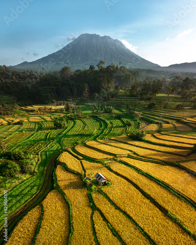 Aerial view of a house along the rice fields terrace at Sidemen Valley, Bali, Indonesia. photo
