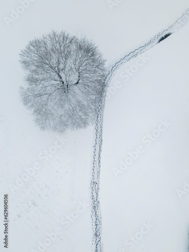 Aerial view of a snowy tree top and footprints along a parth in Columbia, Maryland, United States. photo