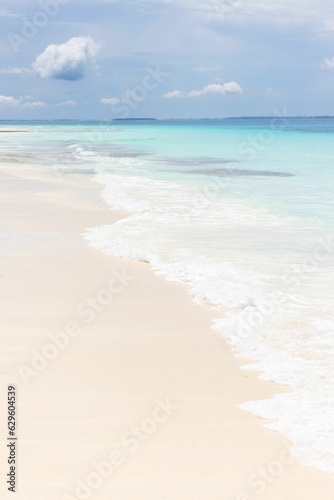 Beautiful tropical beach with white sand and clear blue water on the island of Zanzibar