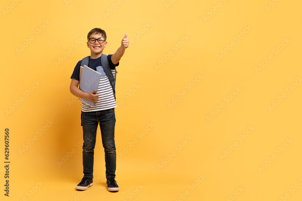 Positive cute preteen boy schooler showing thumb up, copy space Positive cute preteen boy schooler showing thumb up, copy space
