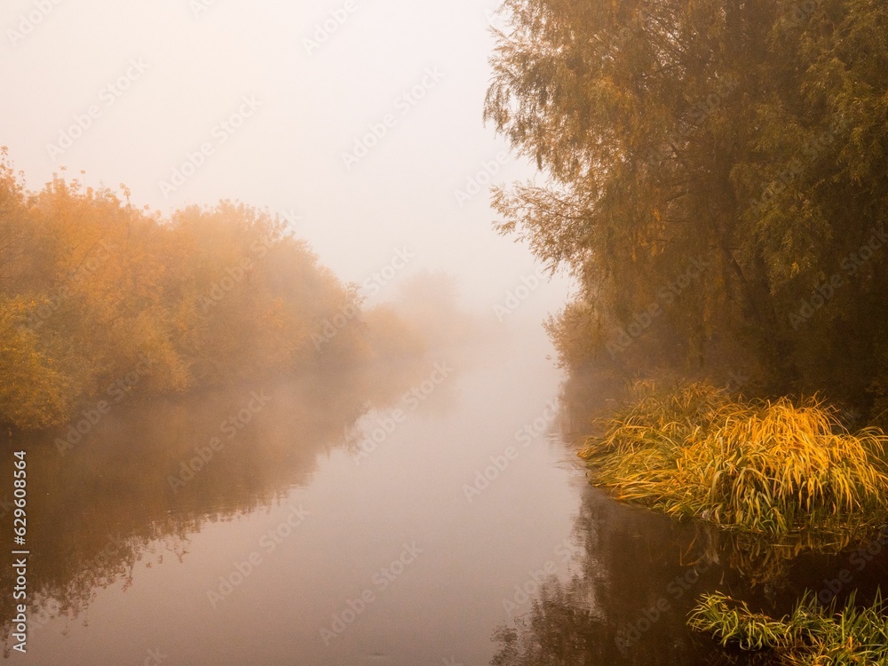 the sun rises on the misty river bank with yellow grass