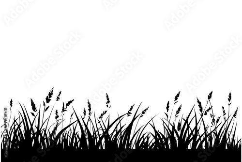 Abstract background with black silhouettes of meadow wild herbs and flowers. Vector illustration.