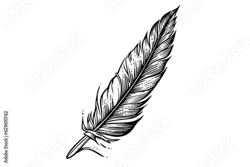 A vintage feather quill etching style sketch. Vector engraving style illustration.