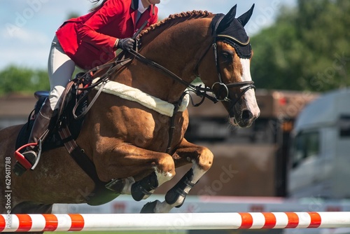 Professional equestrian on a horse jumping over a hurdle at a competition