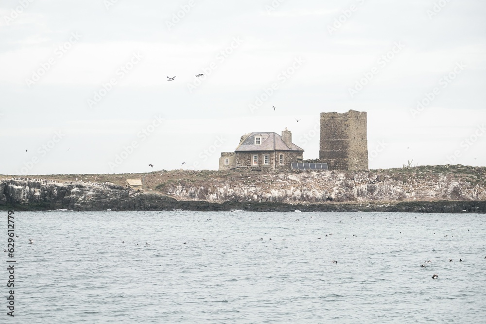 large castle like building in water next to shoreline area with birds flying above