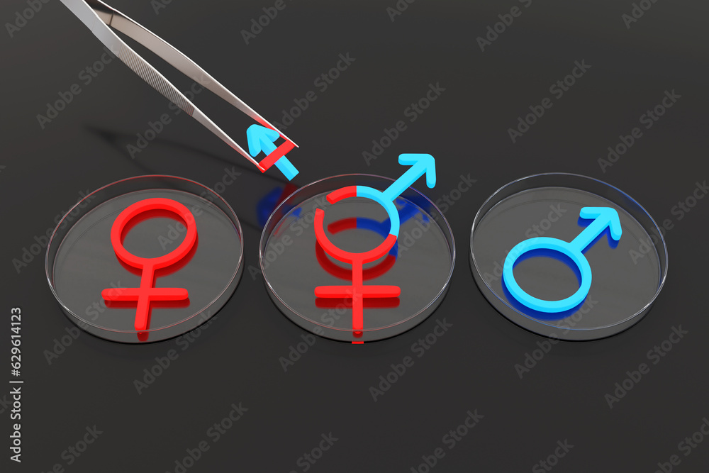LGBTQ gender signs on petri dishes with a tweezers holding a genetic engineered parts. Illustration of the concept of genetic engineering, LGBT and transgender people LGBTQ gender signs on petri dishes with a tweezers holding a genetic engineered parts. Illustration of the concept of genetic engineering, LGBT and transgender people
