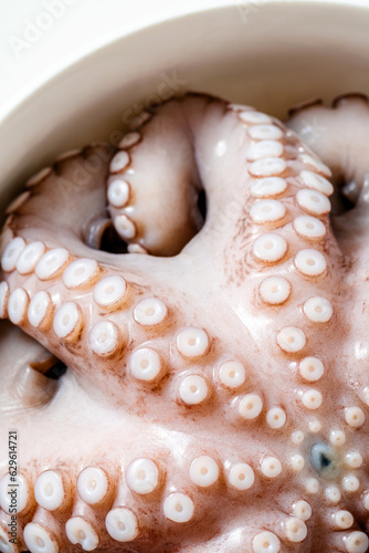 fresh octopus in the kitchen. ready to cook, macro