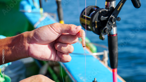 船上で男が手に持った釣り用の餌のオキアミ