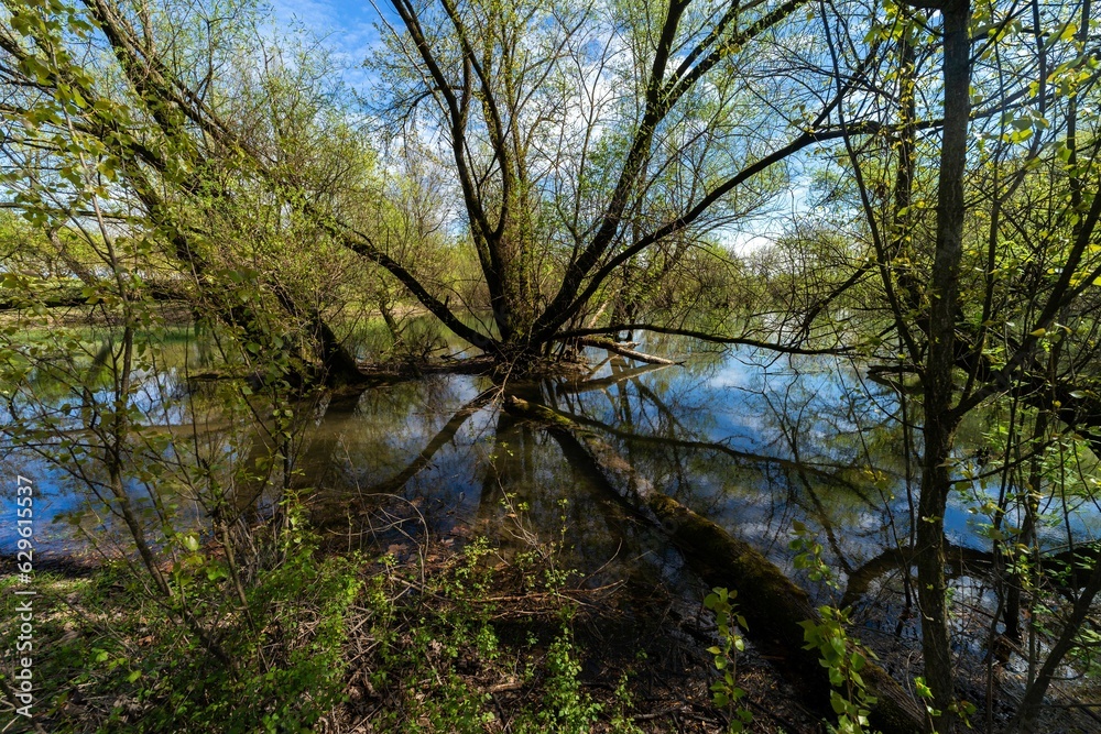 Landscape of a lake in a park covered in greenery on a sunny day Landscape of a lake in a park covered in greenery on a sunny day