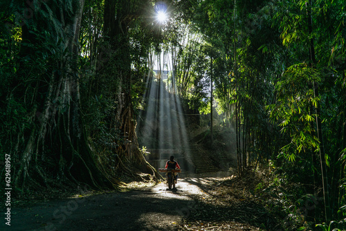 The beautiful sunlight shining through the green leaves of the trees hits people who passes underneath