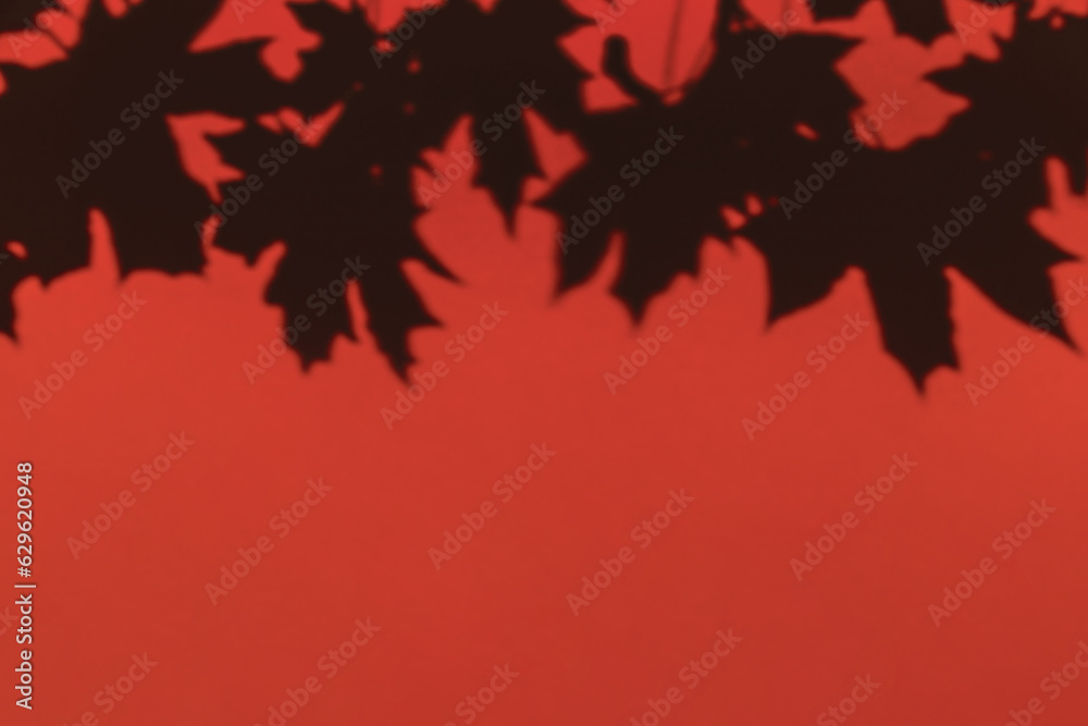 Maple tree leaves shadow on a red wall background. Overlay effect, stylish flat lay with trendy shadow and sun light. Minimal autumn concept, design template, mockup, copy space