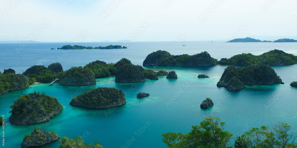 Fototapeta premium Pianemo Island, Karst landscape, Raja Ampat, South West Papua, Indonesia