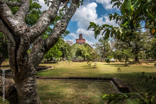 Picturesque park with trees and patches of grass and dirt, with Jetavana Dagoba in the distance photo