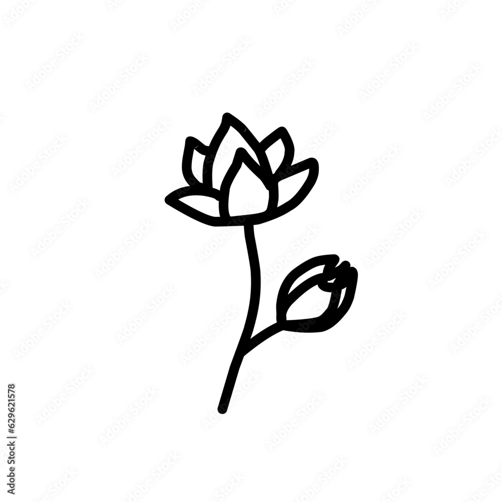 Hand drawn floral elements Hand drawn floral elements