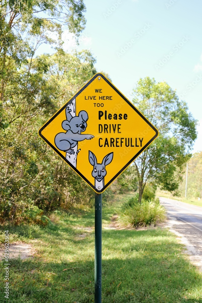 A sign with koalas, alerting drivers to take extra care when driving due to the presence of koalas