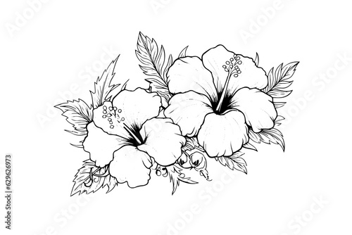 Hibiscus flowers in a vintage woodcut engraved etching style. Vector illustration.