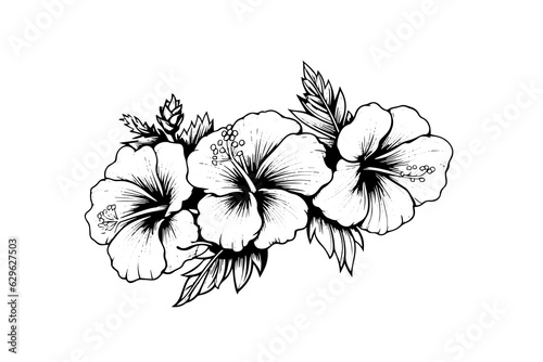 Hibiscus flowers in a vintage woodcut engraved etching style. Vector illustration.