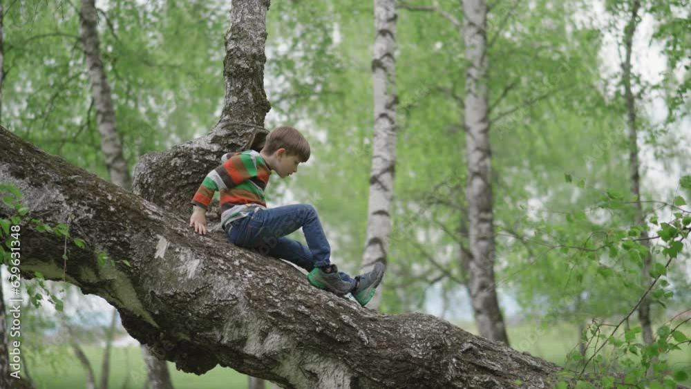 Little boy coming down an old big tree trunk Little boy coming down an old big tree trunk