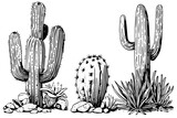 Set of cactus in engraving style vector illustration.Cactus hand drawn sketch imitation.