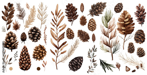 Set of Pine cone and branches watercolor collection of hand drawn, Pine cone brown color, Pine cone elegant watercolor , Pine cone isolated transparent background, PNG Fototapet