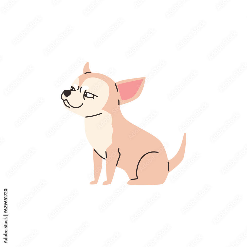 Funny cunning chihuahua dog flat style, vector illustration Funny cunning chihuahua dog flat style, vector illustration