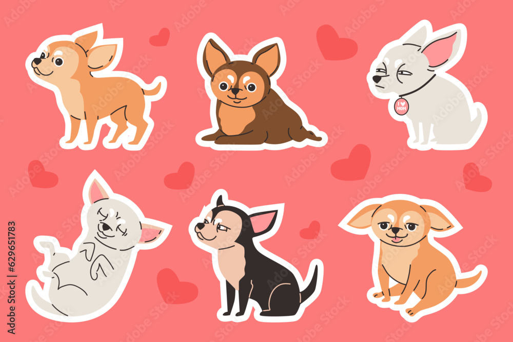 Chihuahua dog sticker designs set, flat cartoon vector illustration isolated.