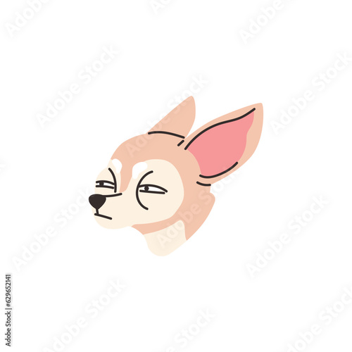 Cartoon cute Chihuahua purebred breed of little furry dog, pet head portrait, funny gloomy chihuahua vector illustration