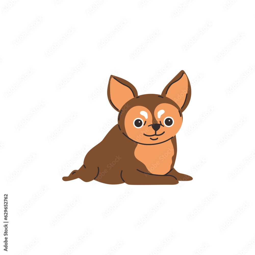 Chihuahua dog with chocolate tint of fur flat vector illustration isolated.