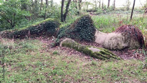 The beautiful Mud Maid natural sculpture in the famous Lost Gardens of Heligan. A giant woman lying down sleeping and covered in moss and ivy - Nr St Austell, Cornwall, UK photo