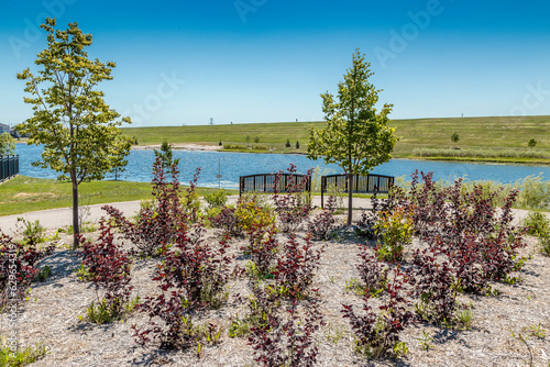 Картината върху платно James Cameron Park in the city of Saskatoon, Canada