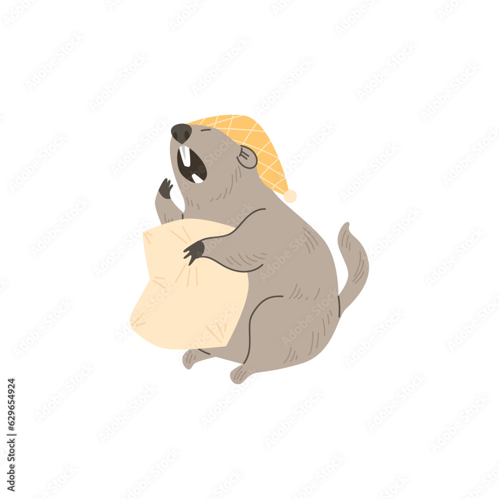 Cute groundhog yawns with pillow and hat vector illustration, wild ground animal, funny furry marmot isolated on white Cute groundhog yawns with pillow and hat vector illustration, wild ground animal, funny furry marmot isolated on white