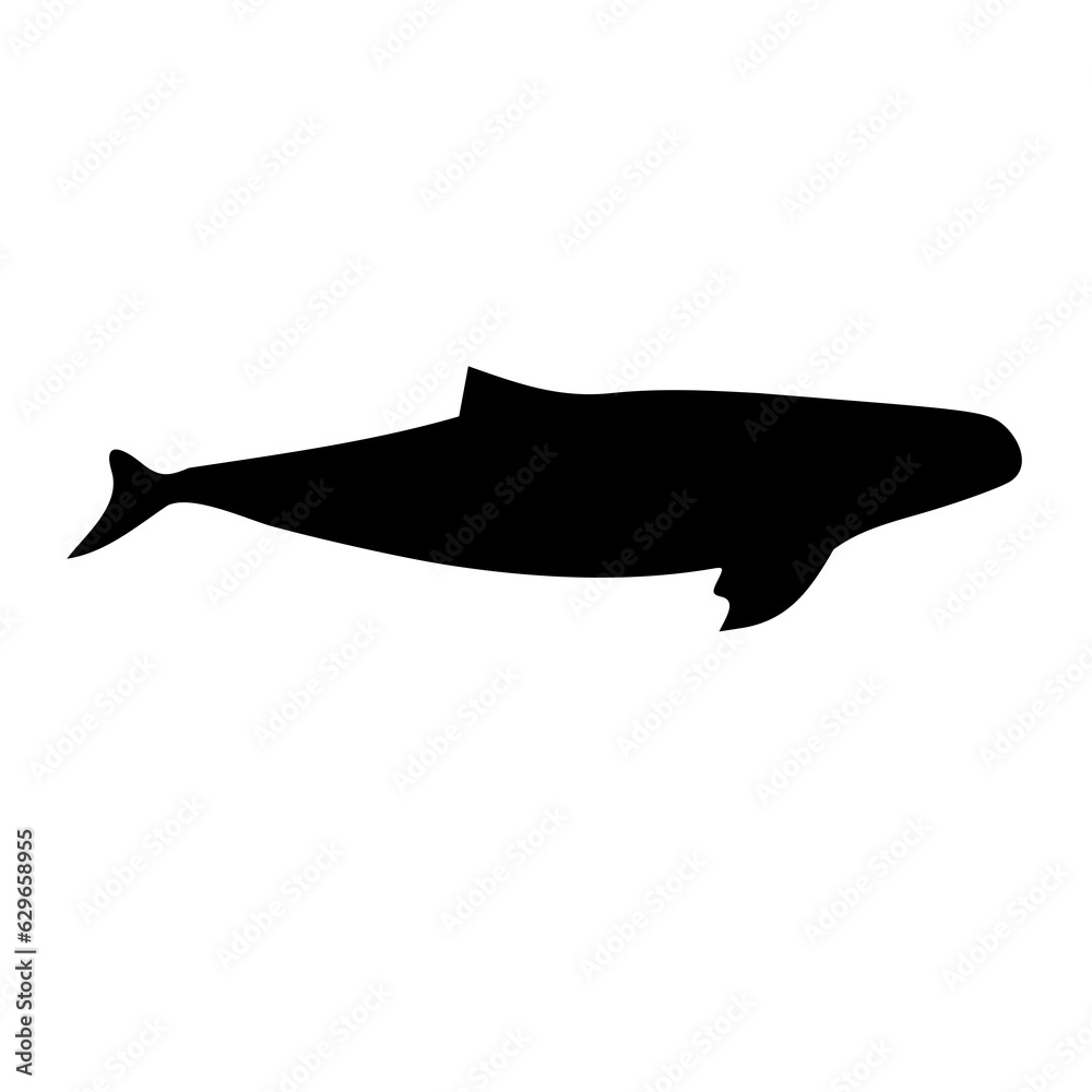 Obraz premium illustration of a whale vector