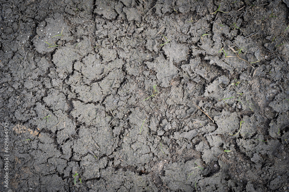 Fototapeta premium Cracked Dry Earth Texture Background, Global Warming Concept, Broken Clay Soil Texture with Cracks on Surface