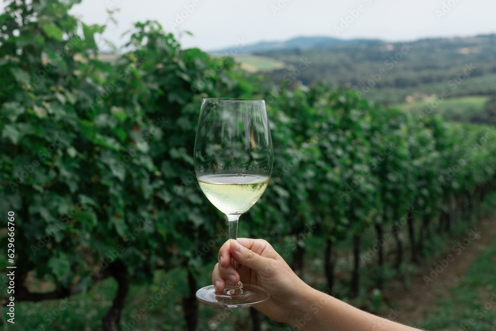 Glass of white wine with vineyards background