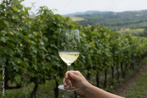 Glass of white wine with vineyards background