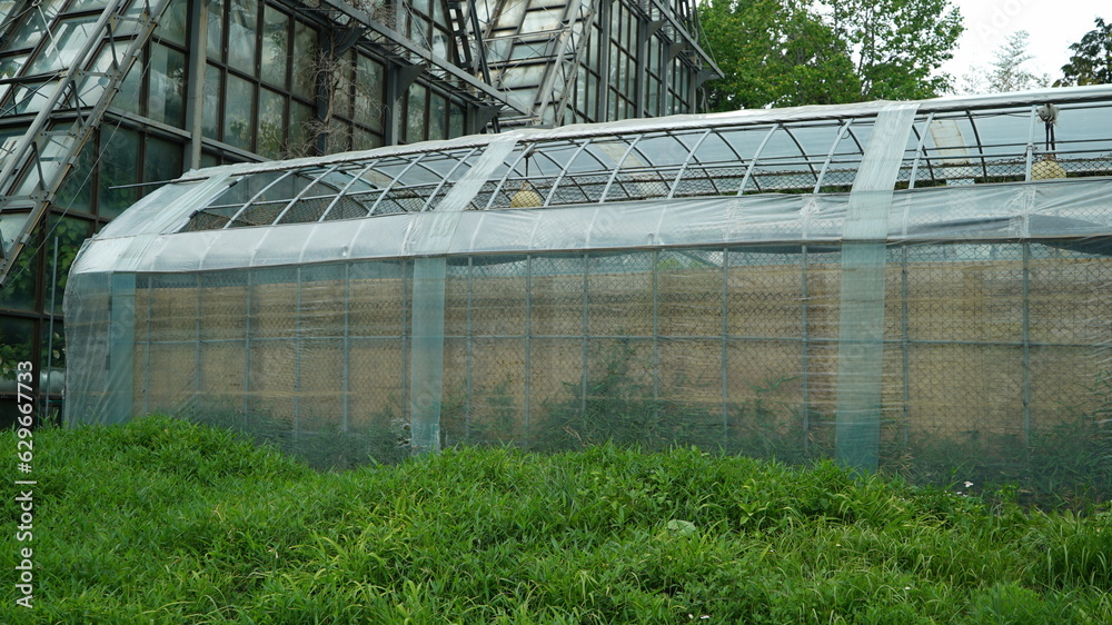 Green house next to the arboretum