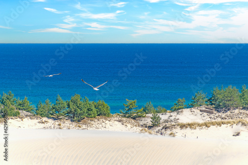 Fototapeta Naklejka Na Ścianę i Meble -  Panoramic view of a dune beach on the Baltic Sea