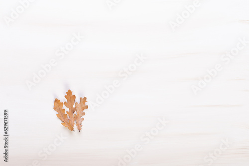 beautiful autumn oak leaves on a white slate or stone background lie in a chaotic order. view from above.
