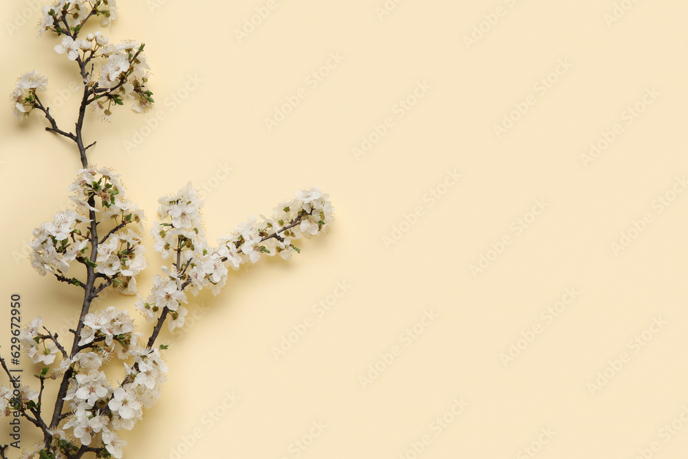 Fototapeta premium Blooming branches on beige background