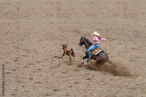 A cowgirl is riding a horse in pursuit of a calf. She is trying to lasso the calf in a rodeo competition call Break Away Roping. The cowgirl is wearing a red with a white hat. The horse in brown.