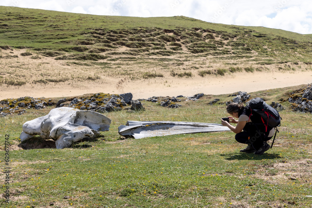 Whale bones on Kiloran Bay on the isle of Colonsay in Scotland