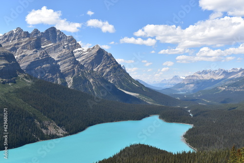 peyto lake photo