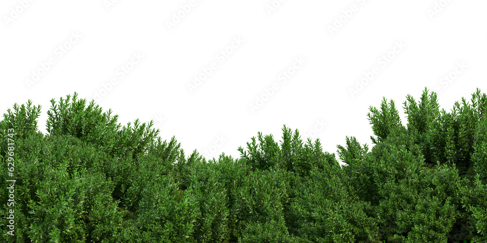 Fototapeta premium Small garden foreground with multiple plants on transparent background