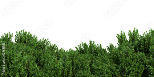 Small garden foreground with multiple plants on transparent background