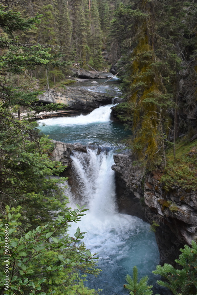 waterfall in the forest