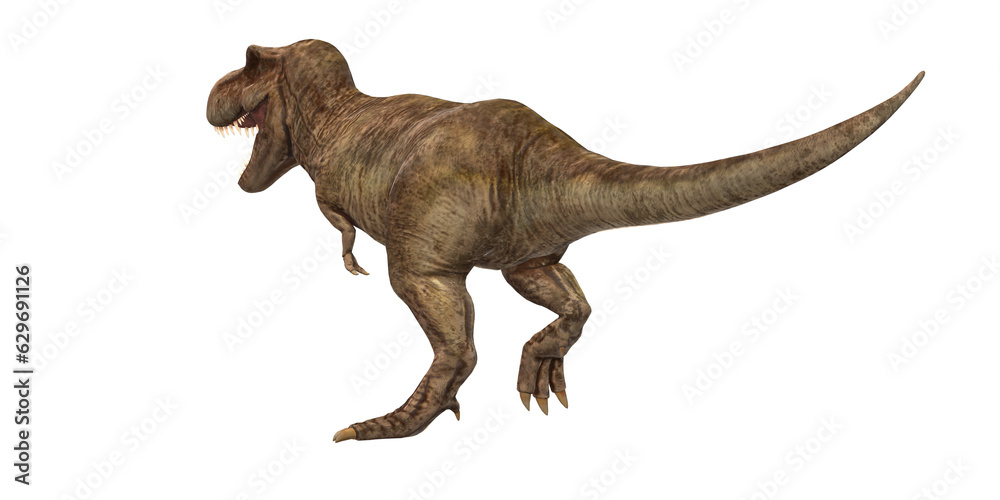 Tyrannosaurus isolated on a Transparent Background Tyrannosaurus isolated on a Transparent Background
