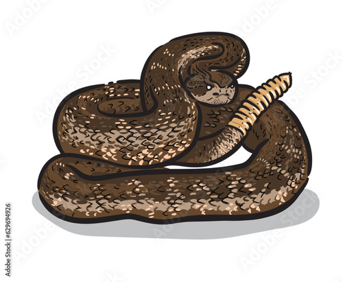 Texas rattlesnake isolated illustration. Wild North American animals
