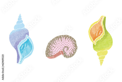 Hand drawn Naive sea sells collection. Watercolor various shells for print, poster, textile, fabric. Vector illustration 